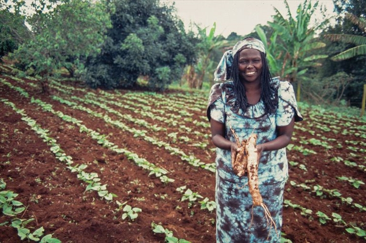 Wangari